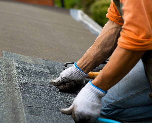 Best Tile Roofing Contractor  in Campbellsville, KY