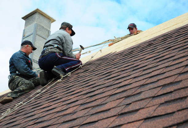 Best Roof Gutter Cleaning  in Campbellsville, KY