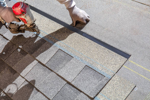Best Flat Roof Repair Services  in Campbellsville, KY